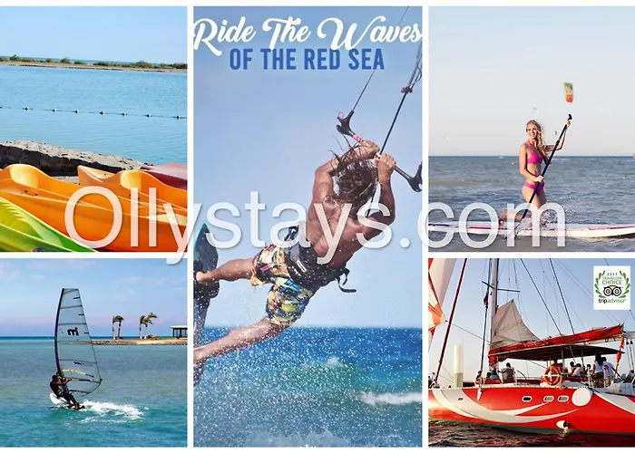 Ollystays Mangroovy Seaview 1br, & Pool Free Access! Red Sea Appartement *